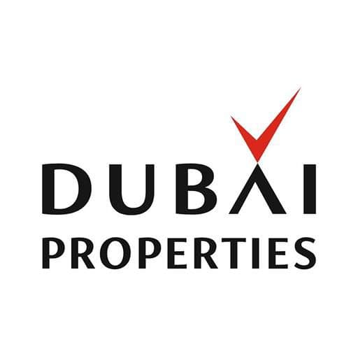 International Developer Partner
